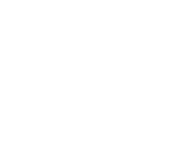 Logo Footer